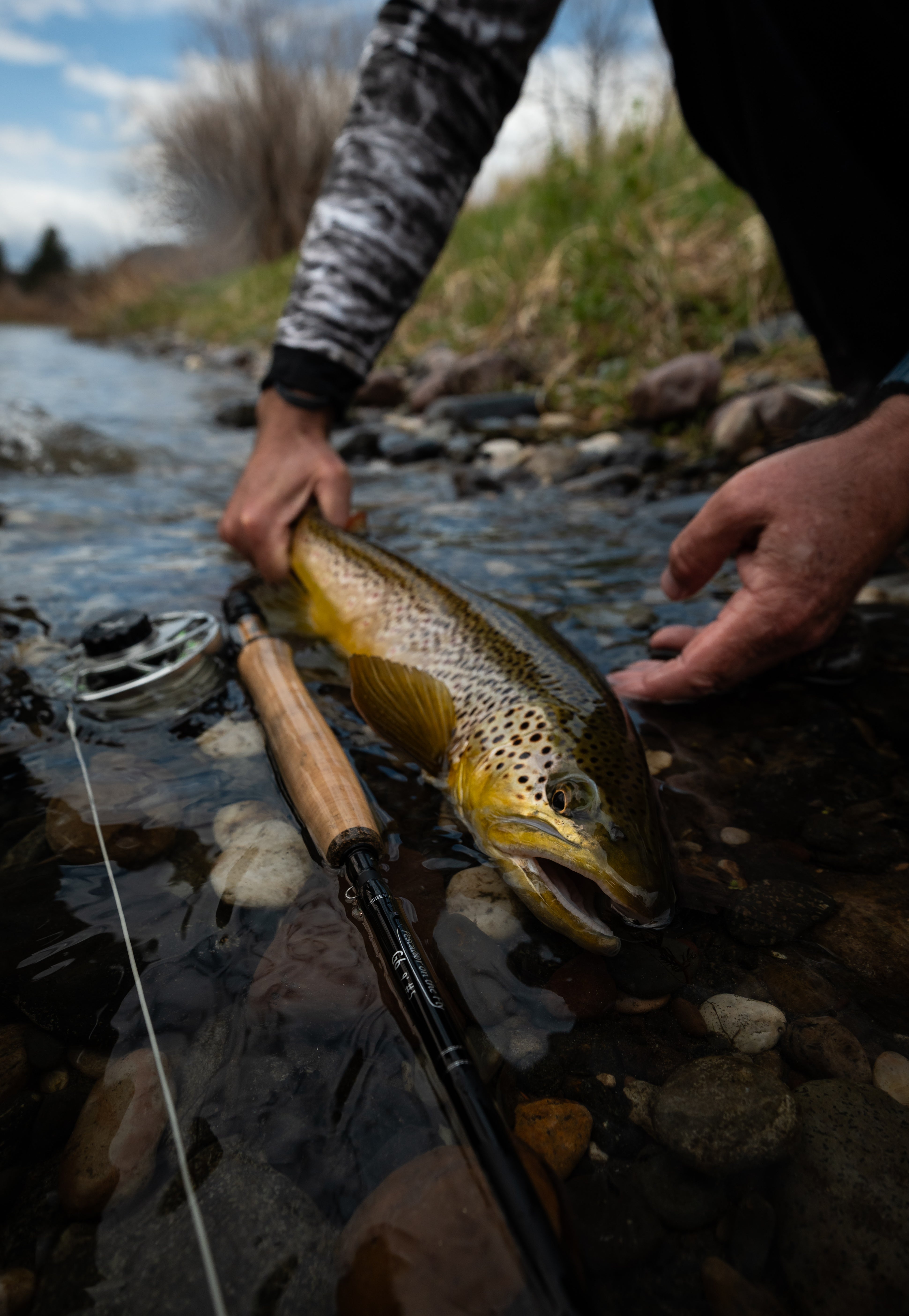 Three Days in Montana: Day 3 on the Missouri River