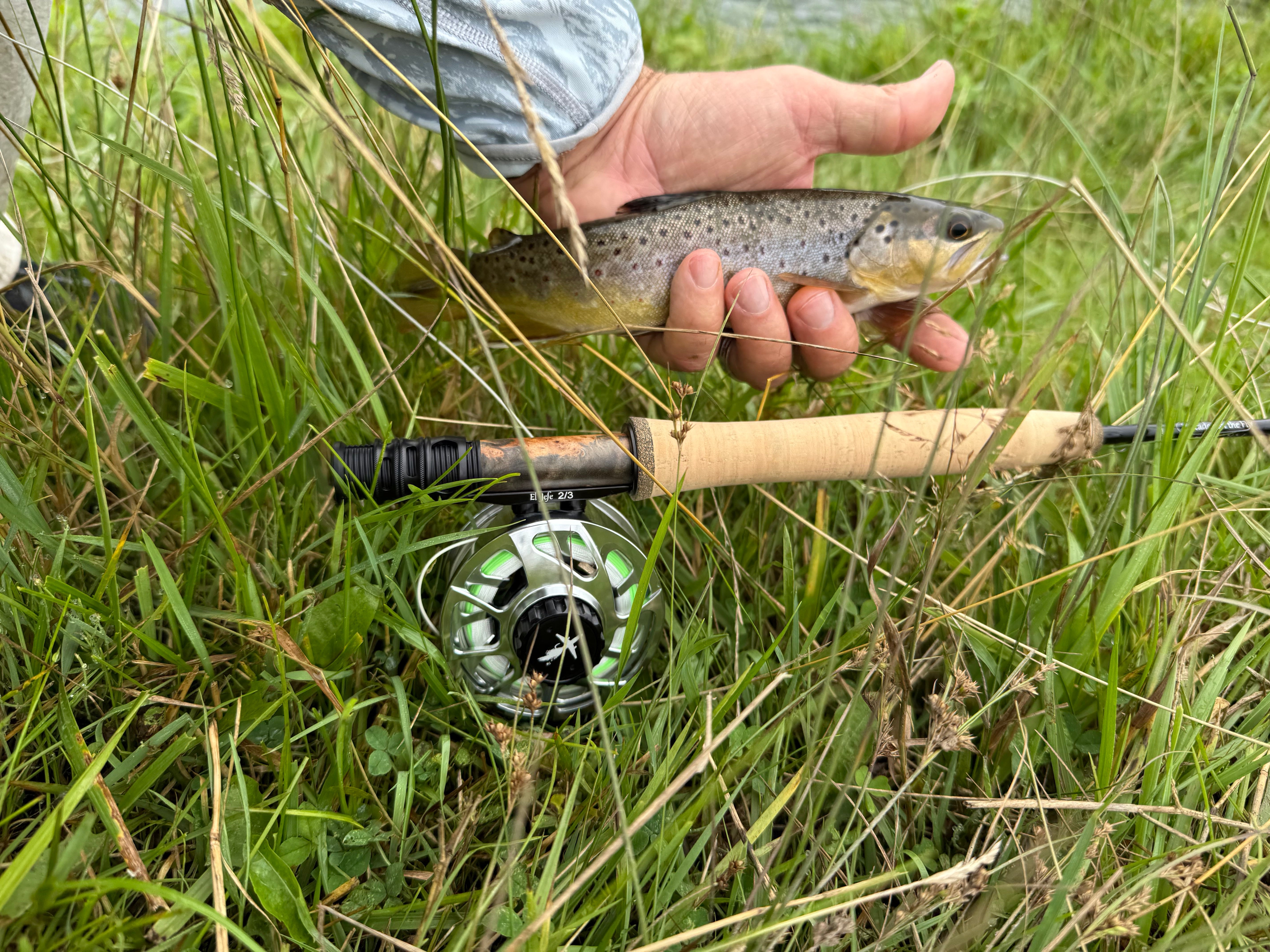 Exploring the Wisconsin Driftless: Big Laughs, Small Streams, and Plenty of Trout