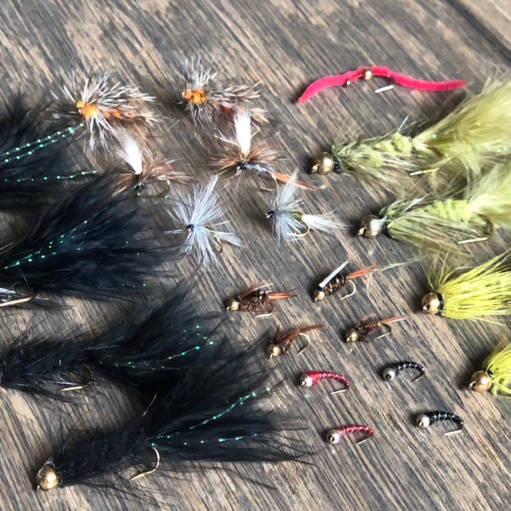 A fly box filled with essential trout flies for fly fishing
