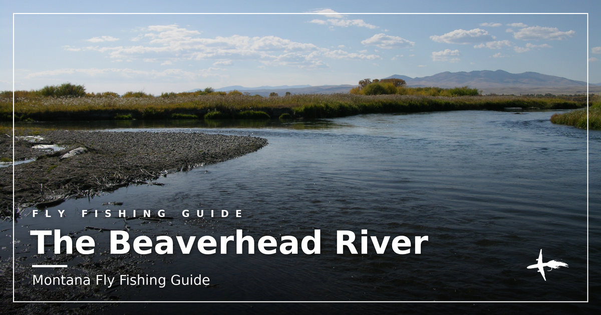 The confluence of the Ruby and Beaverhead Rivers just south of Twin Bridges, Montana