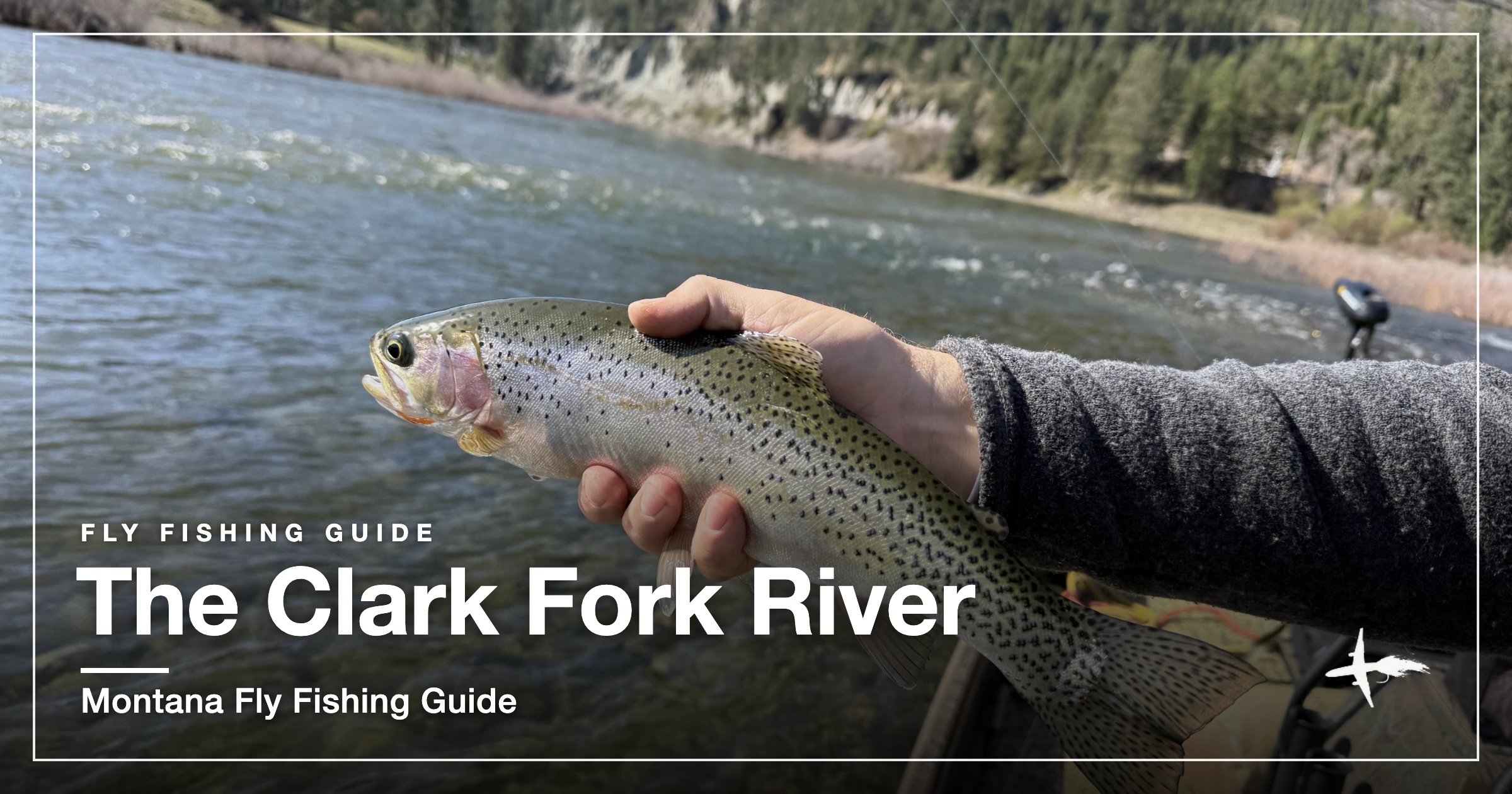 Angler holding a rainbow trout above the Clark Fork River near Missoula, Montana