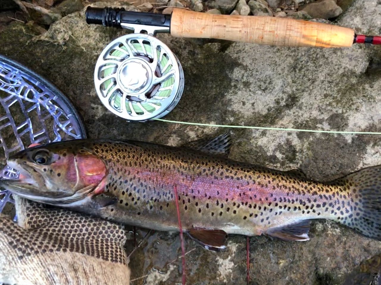 St. Louis Polar Vortex Fly Fishing Adventure