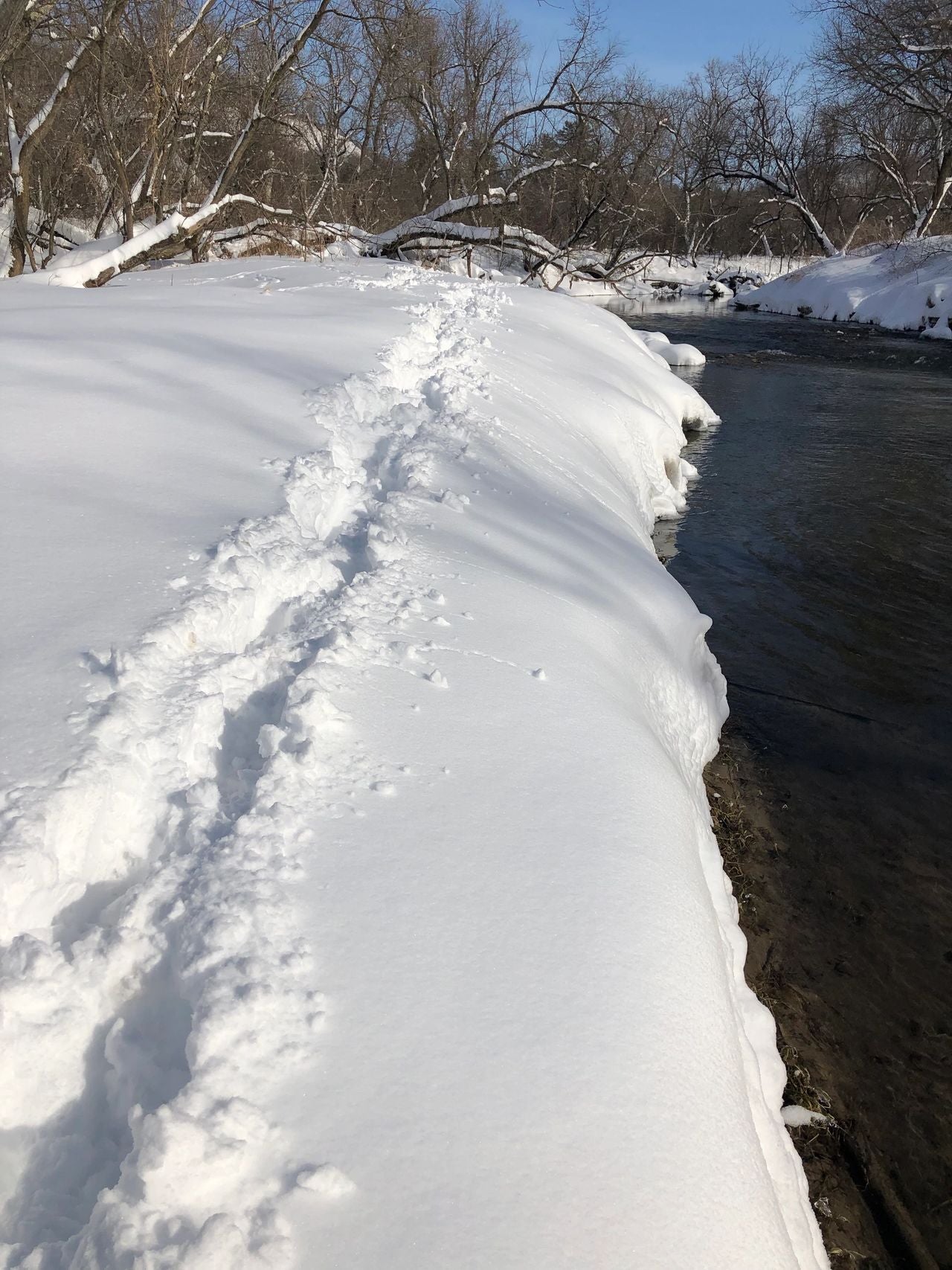 Deep Snow Minnesota Fly Fishing Success (Failure)