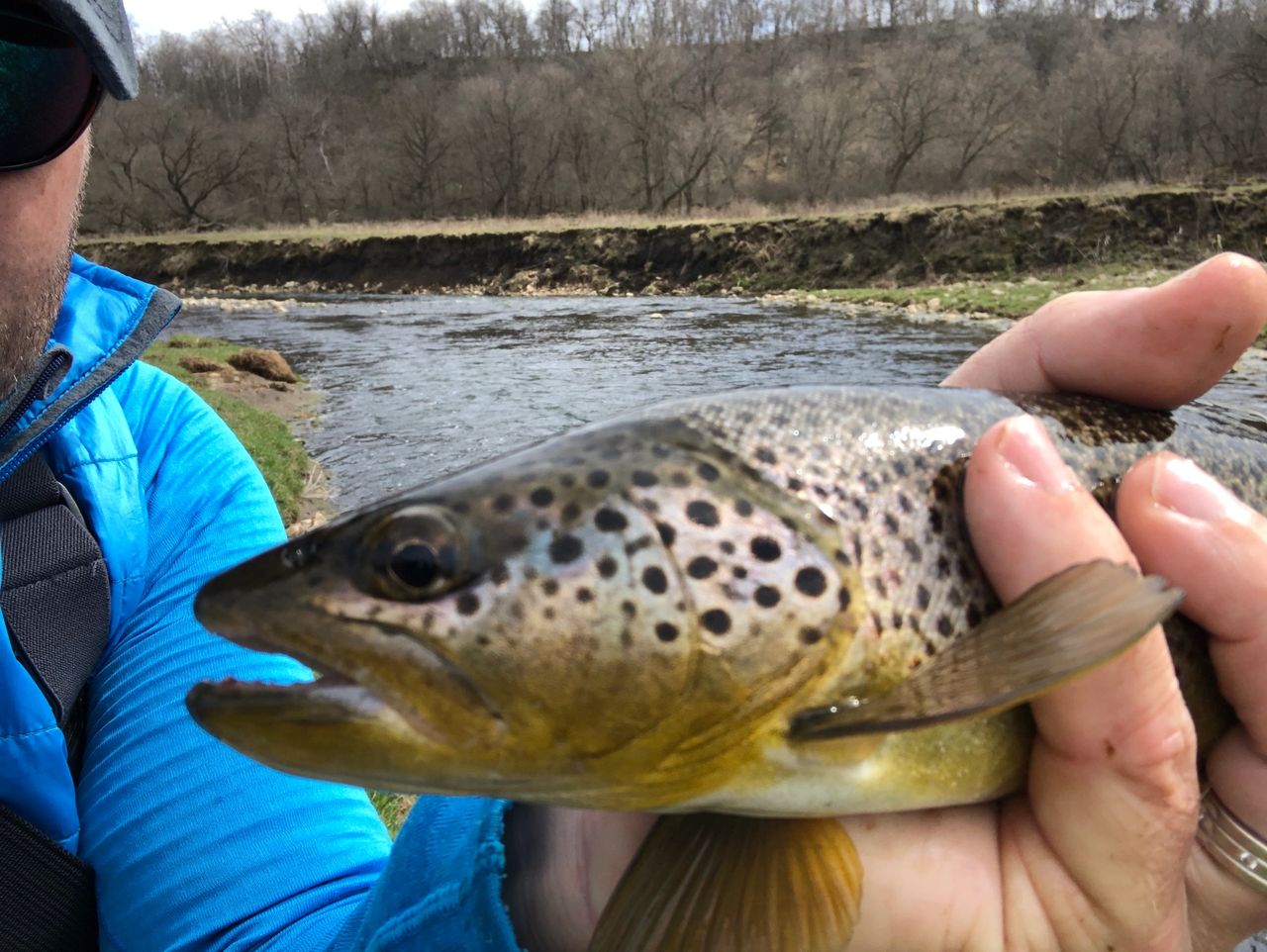 Mixing Business with Pleasure, Waterloo Creek, IA Fly Fishing