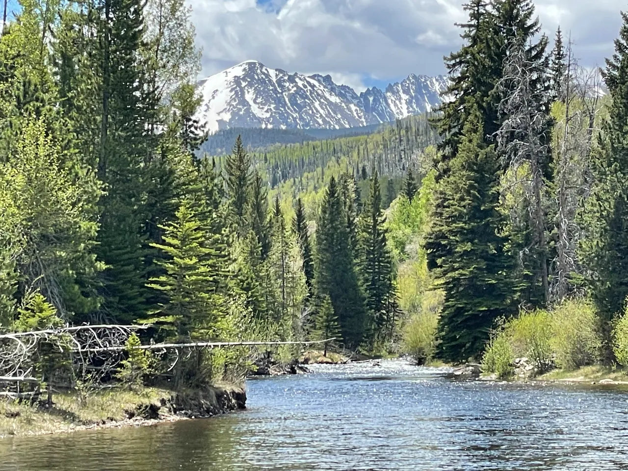 DIY on The Blue River in Colorado