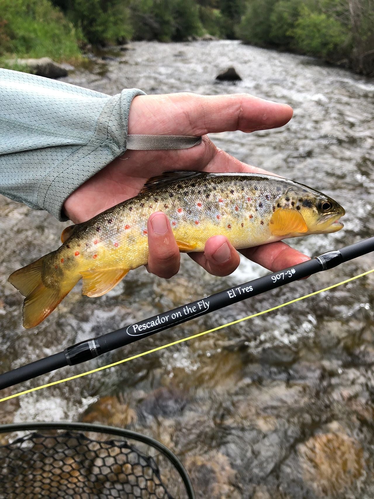 Denver Business Trip - Bonus Fly Fishing Adventure