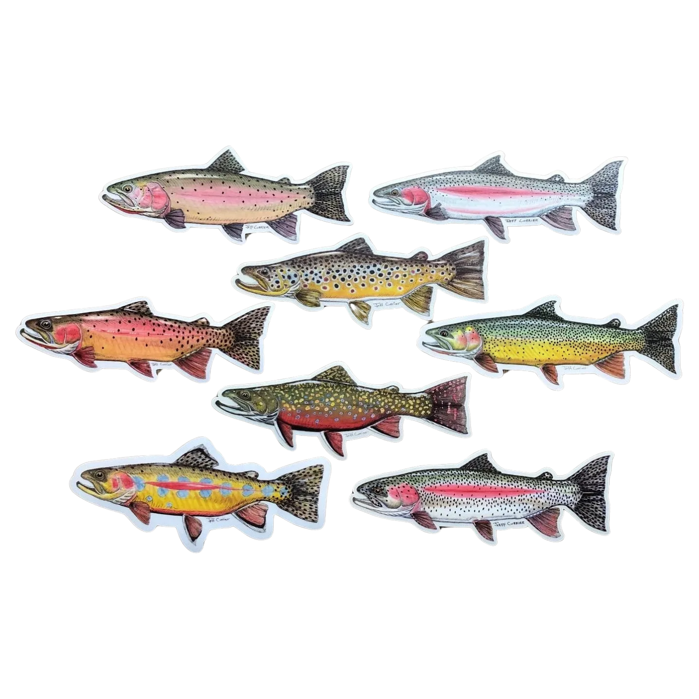 JEFF CURRIER DESIGNED 10 INCH PREMIUM TROUT DECALS