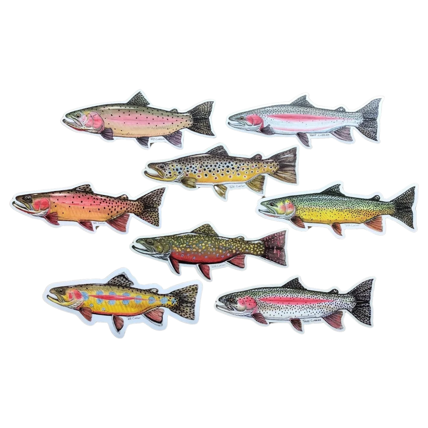 JEFF CURRIER DESIGNED 5 INCH PREMIUM TROUT DECALS