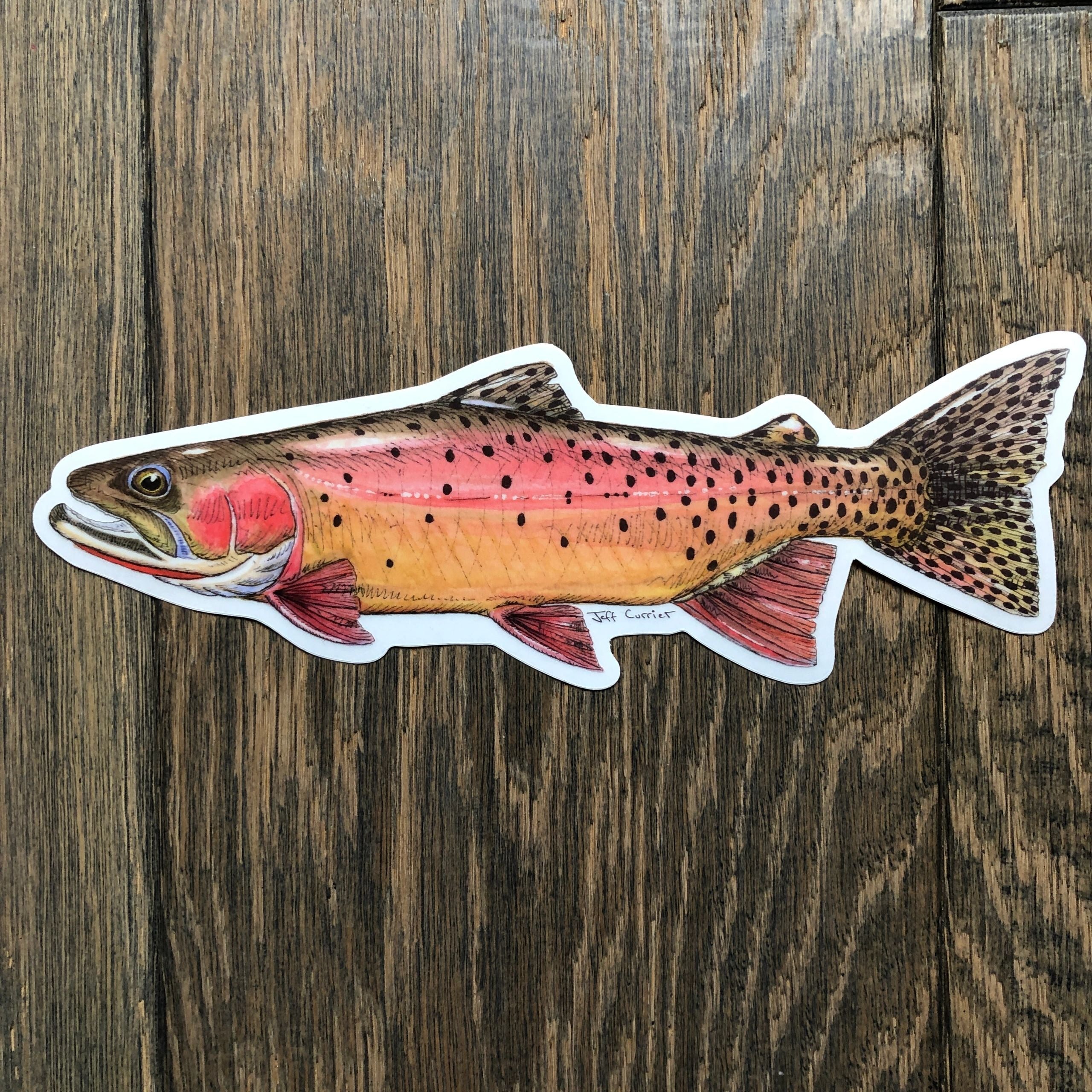 JEFF CURRIER DESIGNED 10 INCH PREMIUM TROUT DECALS
