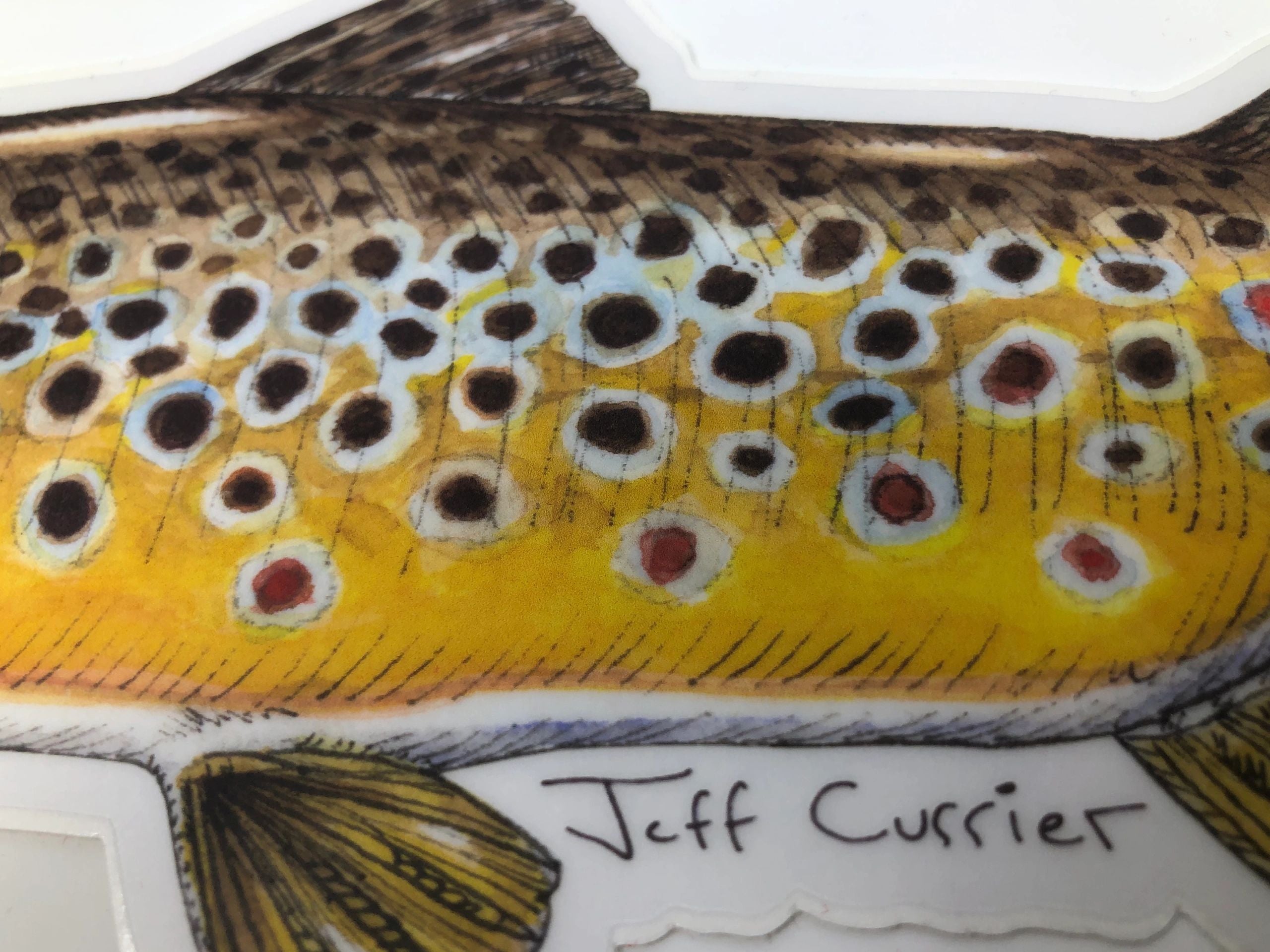 JEFF CURRIER DESIGNED 5 INCH PREMIUM TROUT DECALS