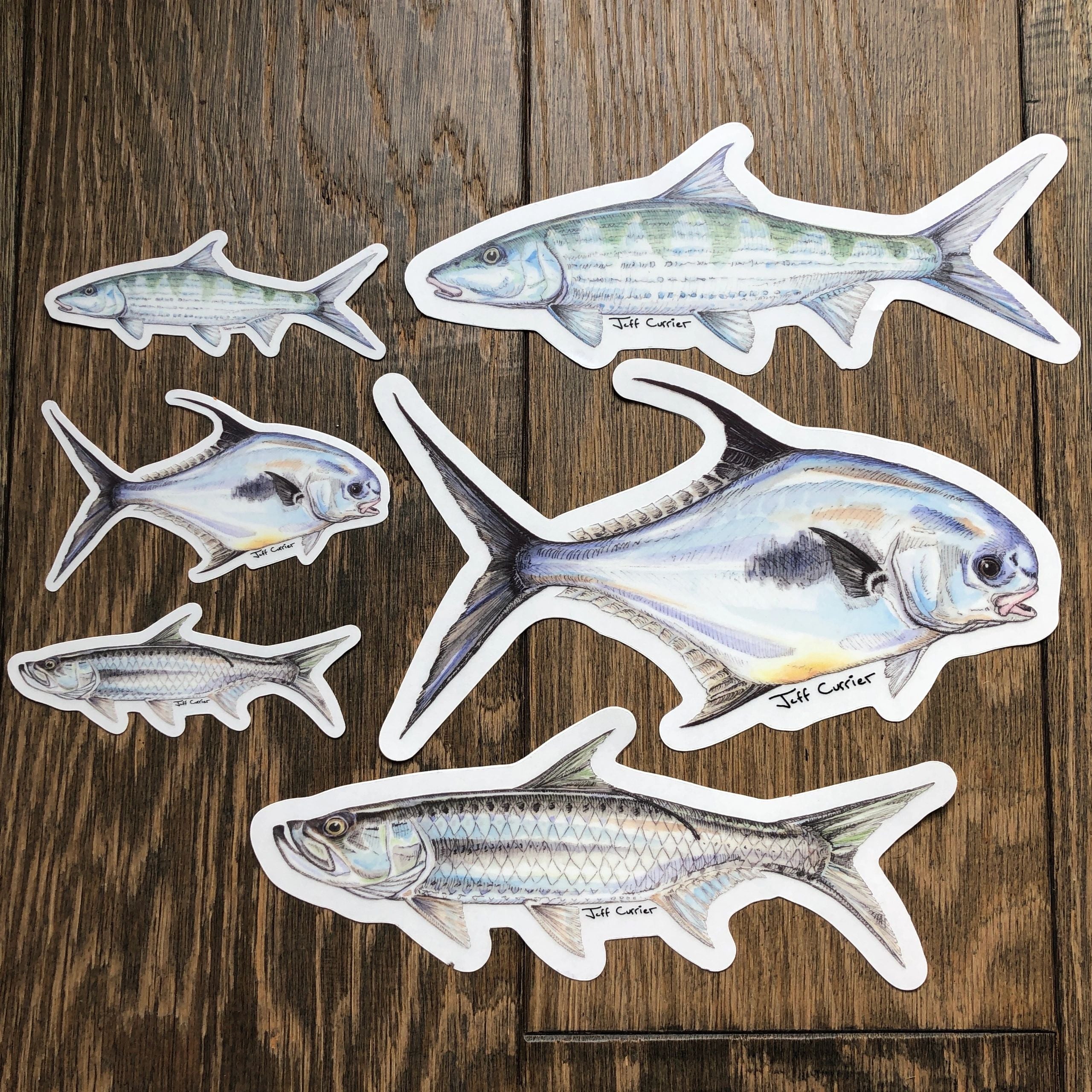 JEFF CURRIER DESIGNED PREMIUM SALTWATER FLATS FISH DECALS