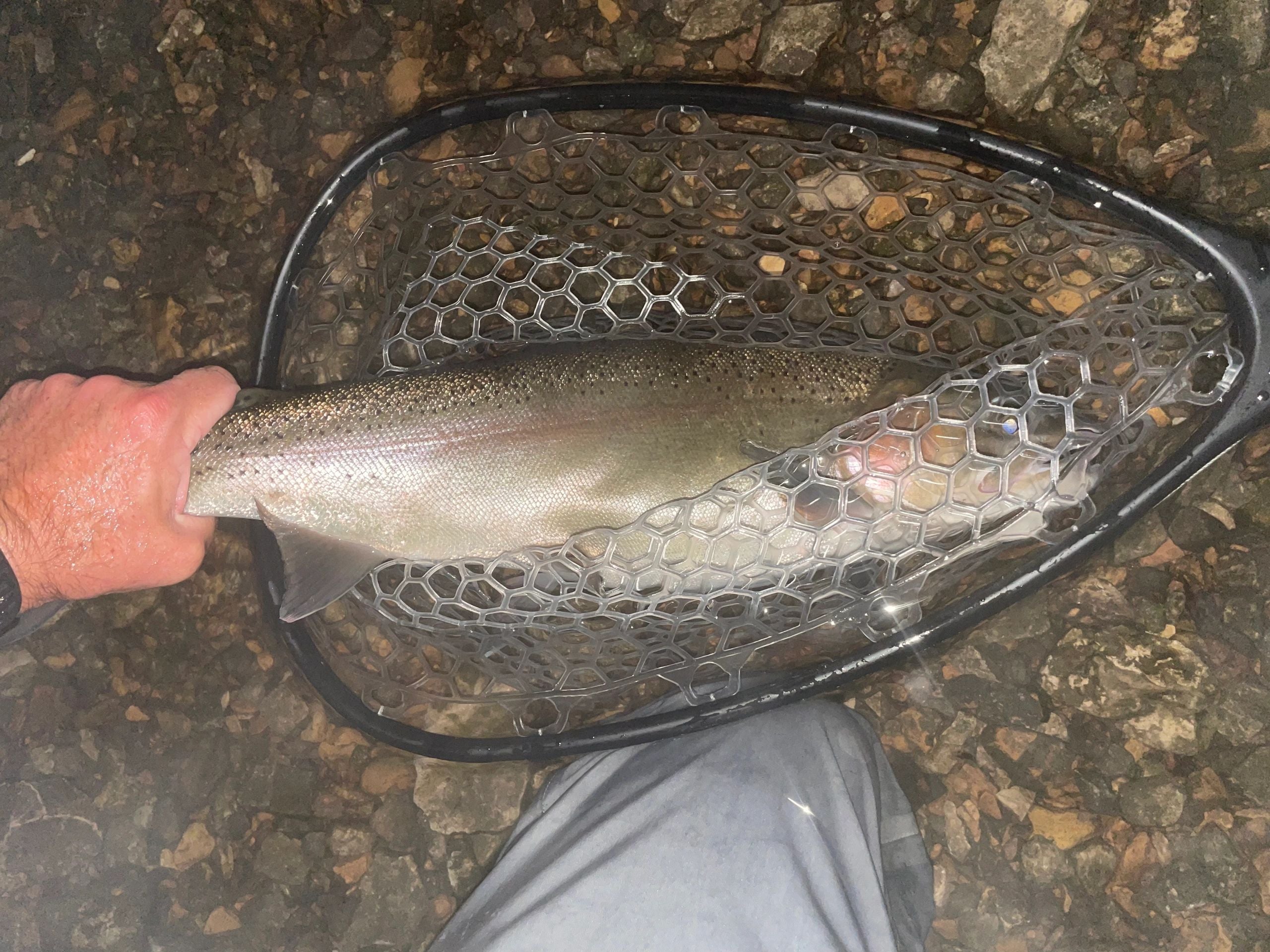 FULL CARBON FLY FISHING NET SYSTEMS | COMES WITH MAGNET CONNECTOR
