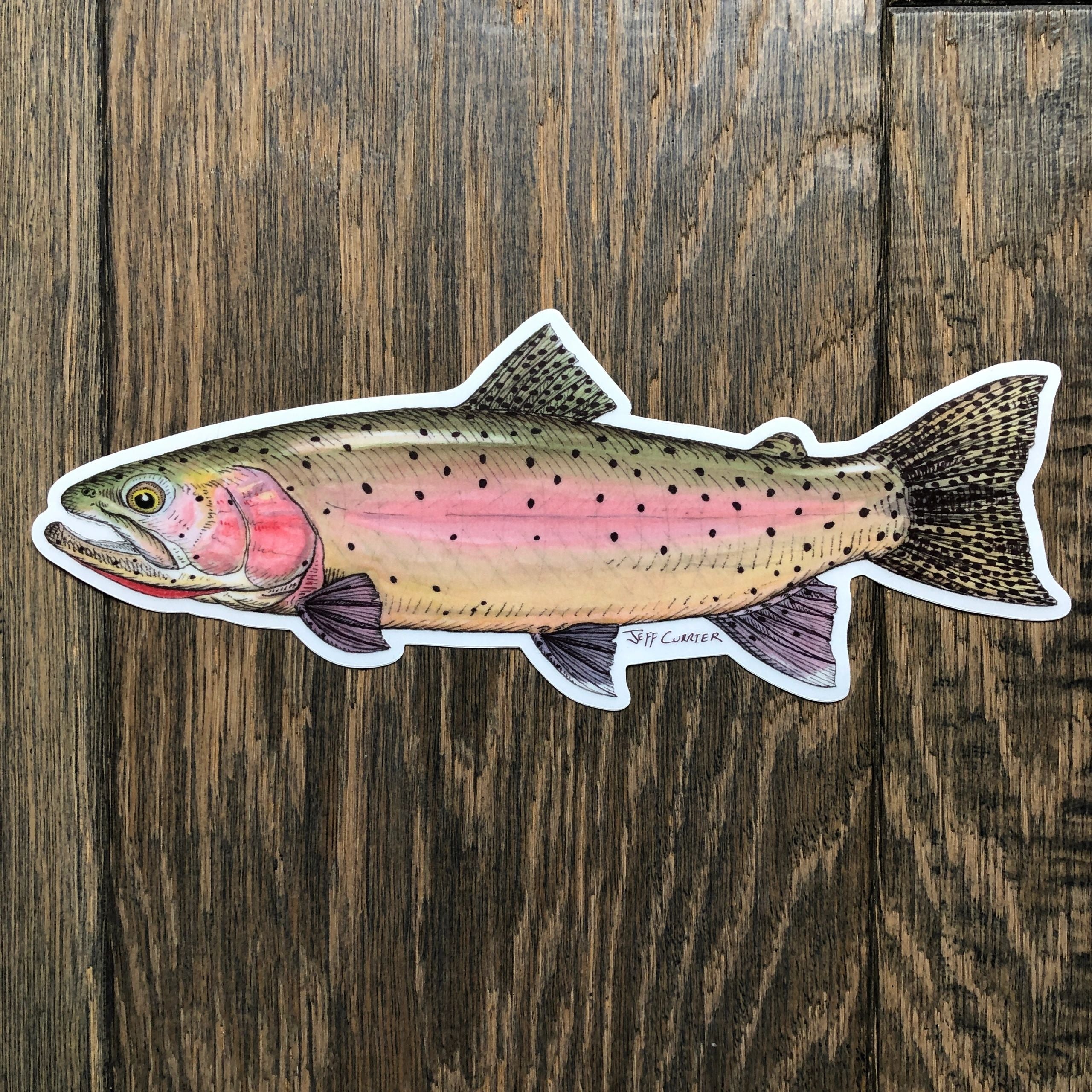 JEFF CURRIER DESIGNED 10 INCH PREMIUM TROUT DECALS