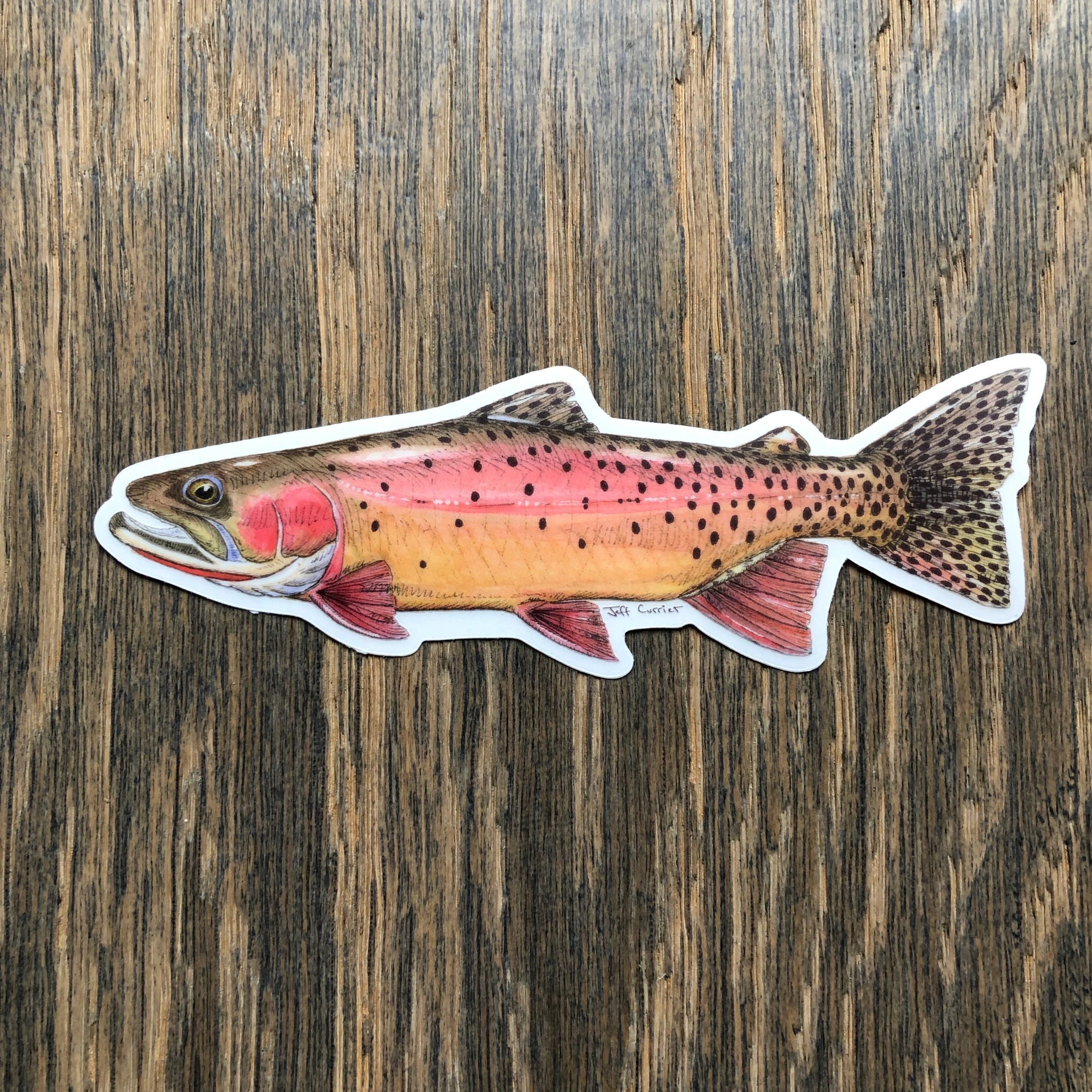 JEFF CURRIER DESIGNED 5 INCH PREMIUM TROUT DECALS