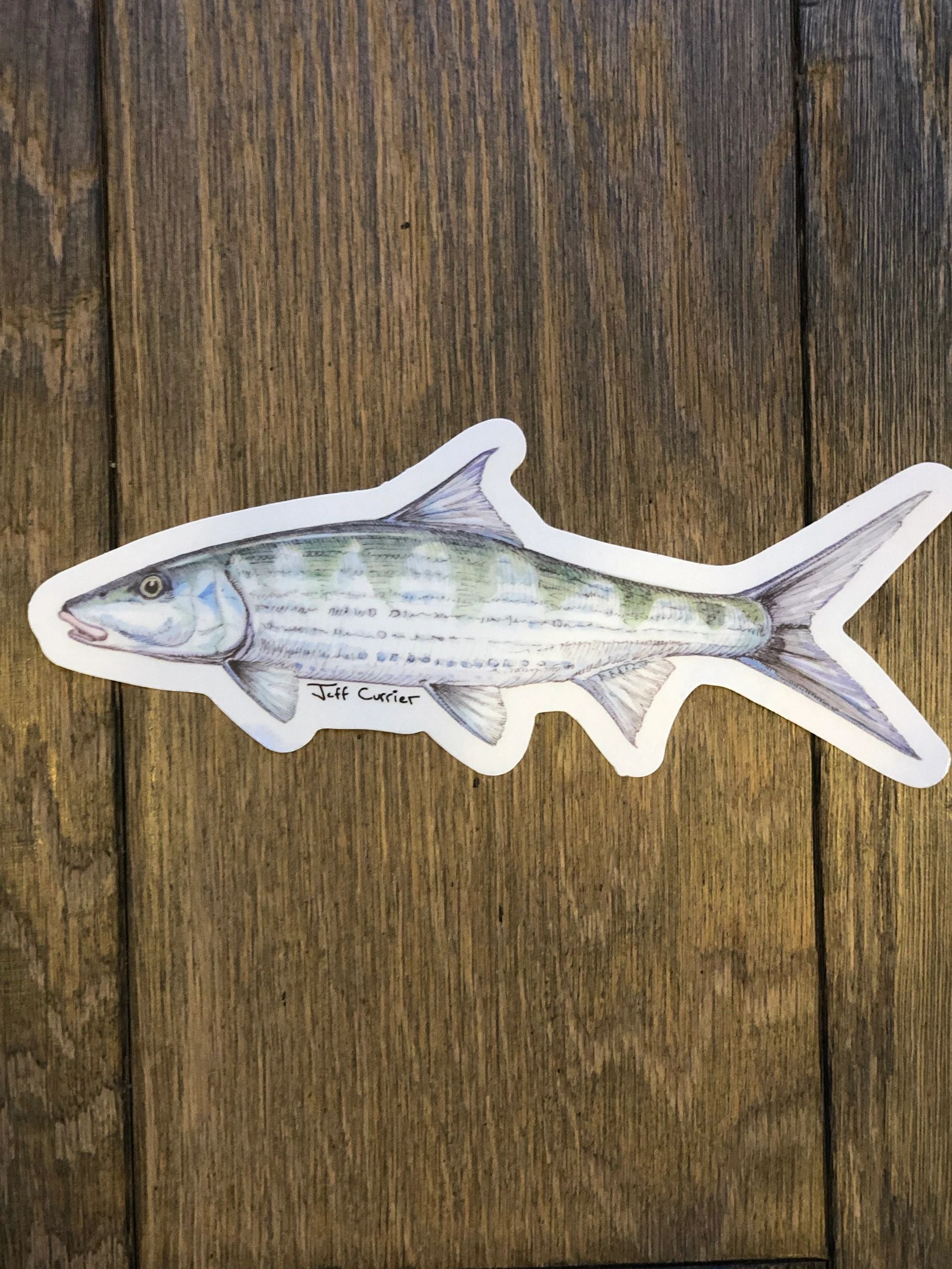 JEFF CURRIER DESIGNED PREMIUM SALTWATER FLATS FISH DECALS