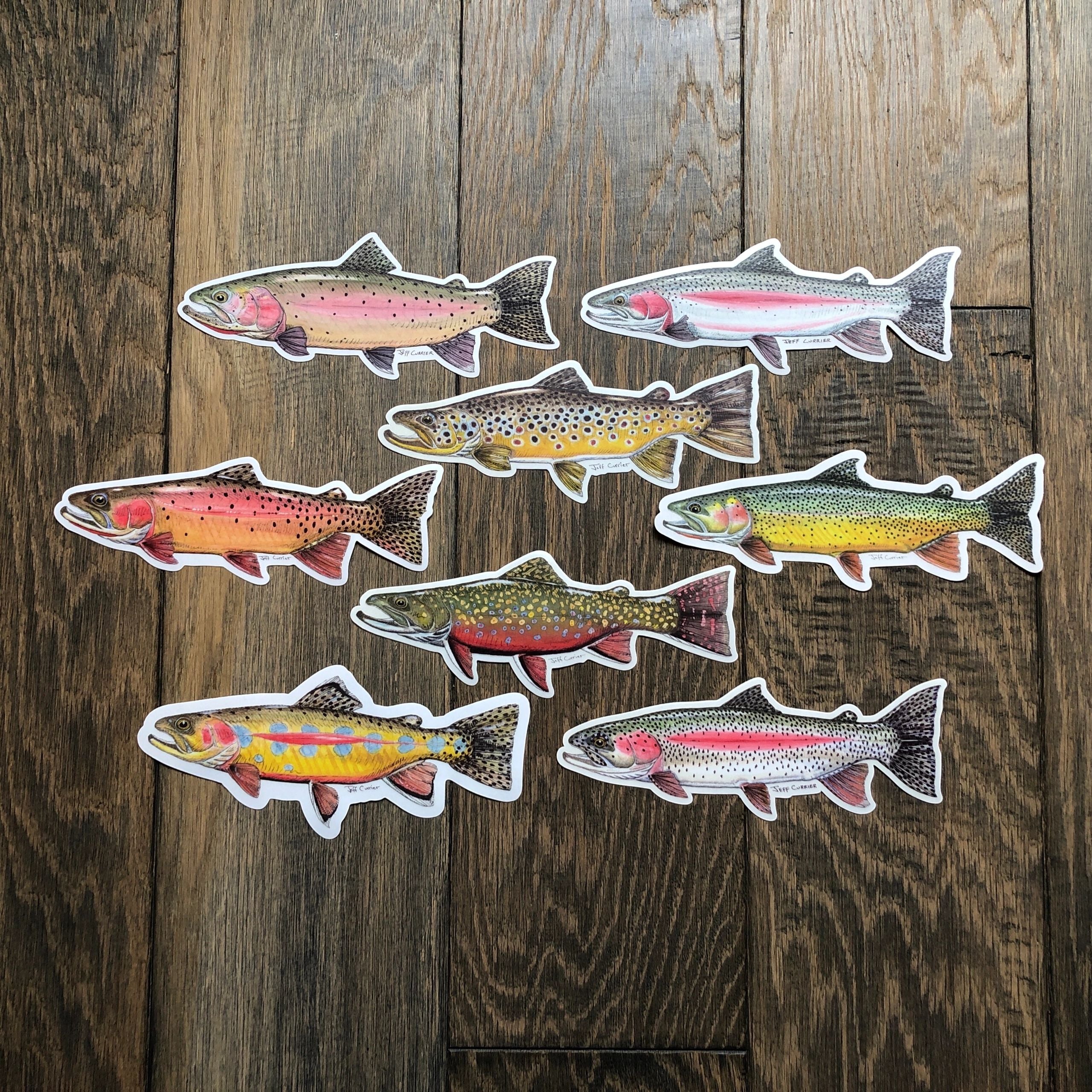 JEFF CURRIER DESIGNED 10 INCH PREMIUM TROUT DECALS