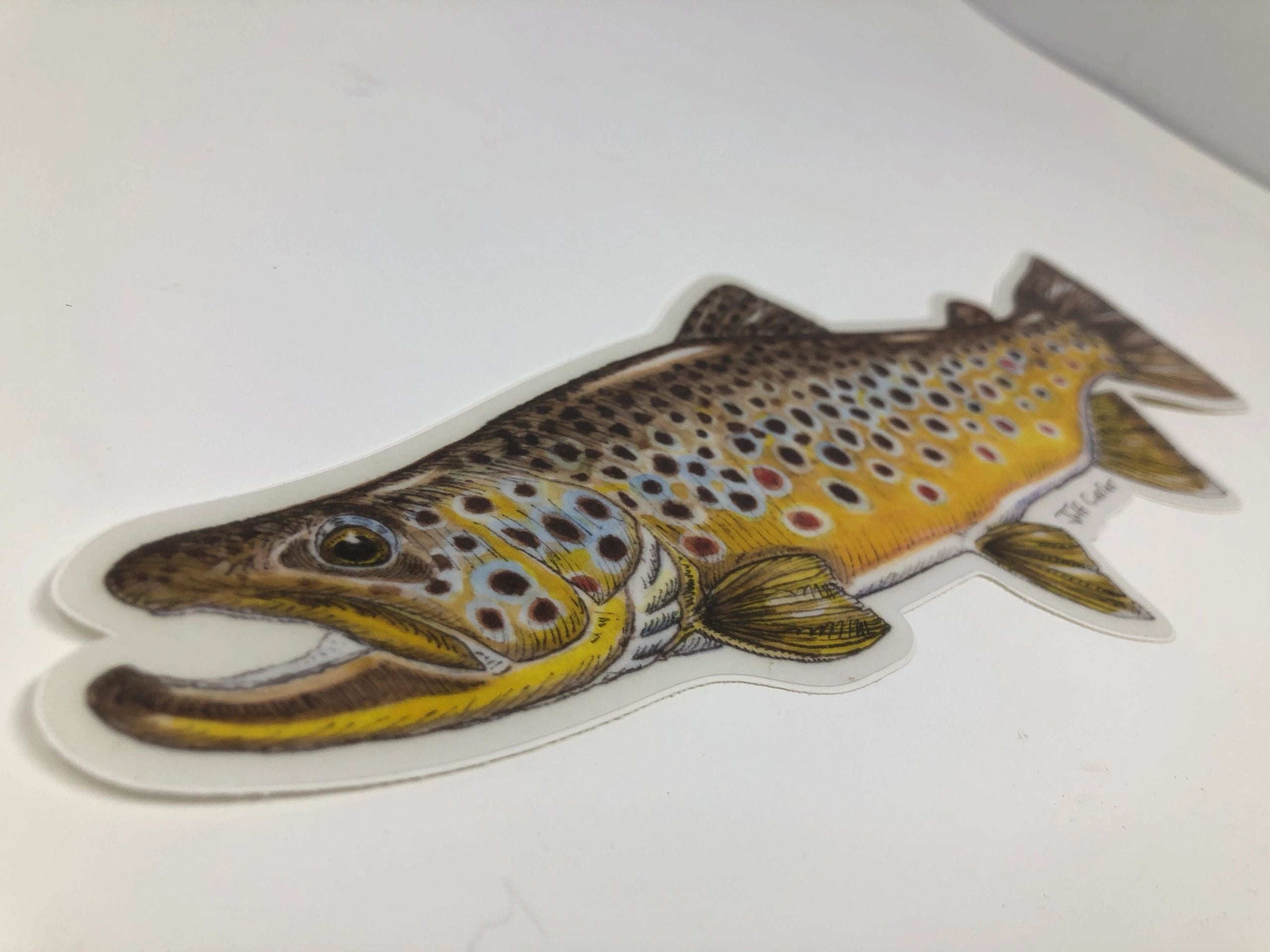 JEFF CURRIER DESIGNED 10 INCH PREMIUM TROUT DECALS