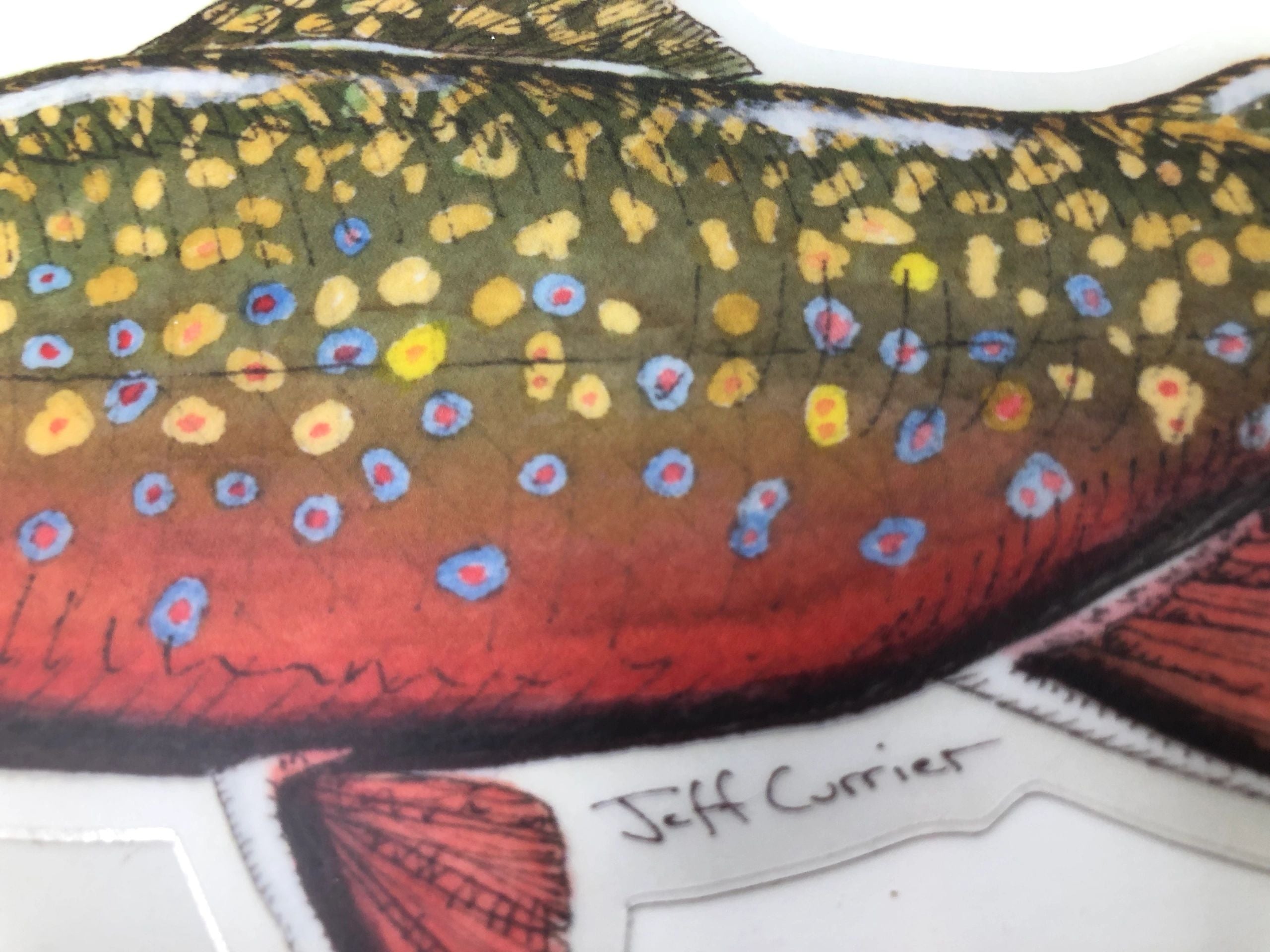 JEFF CURRIER DESIGNED 10 INCH PREMIUM TROUT DECALS