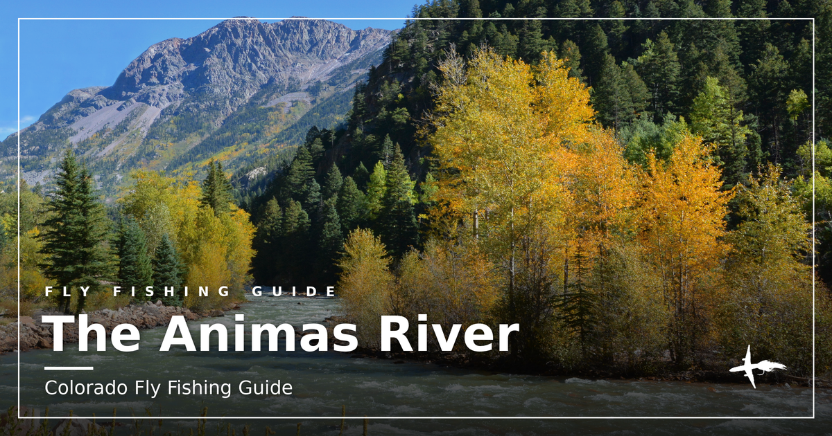 Animas River flowing through a fall-colored valley below the San Juan Mountains, Colorado