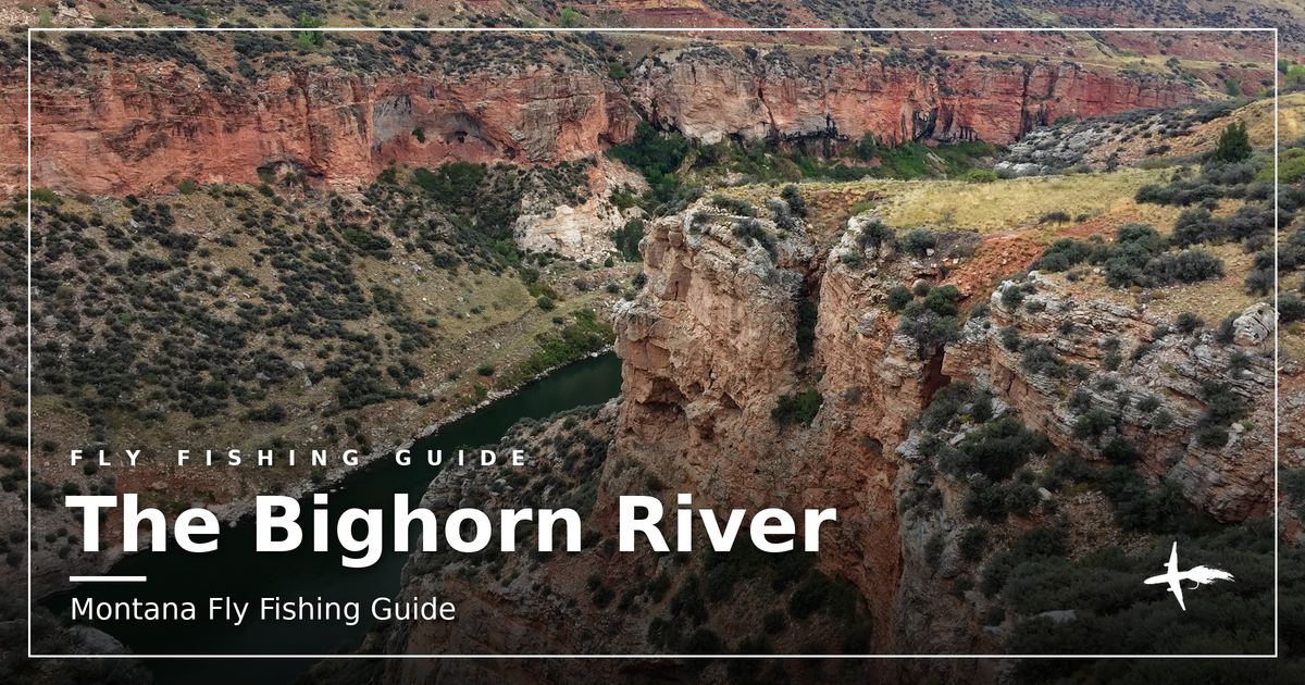 The Bighorn River cutting through red-rock canyon below Yellowtail Dam, Montana