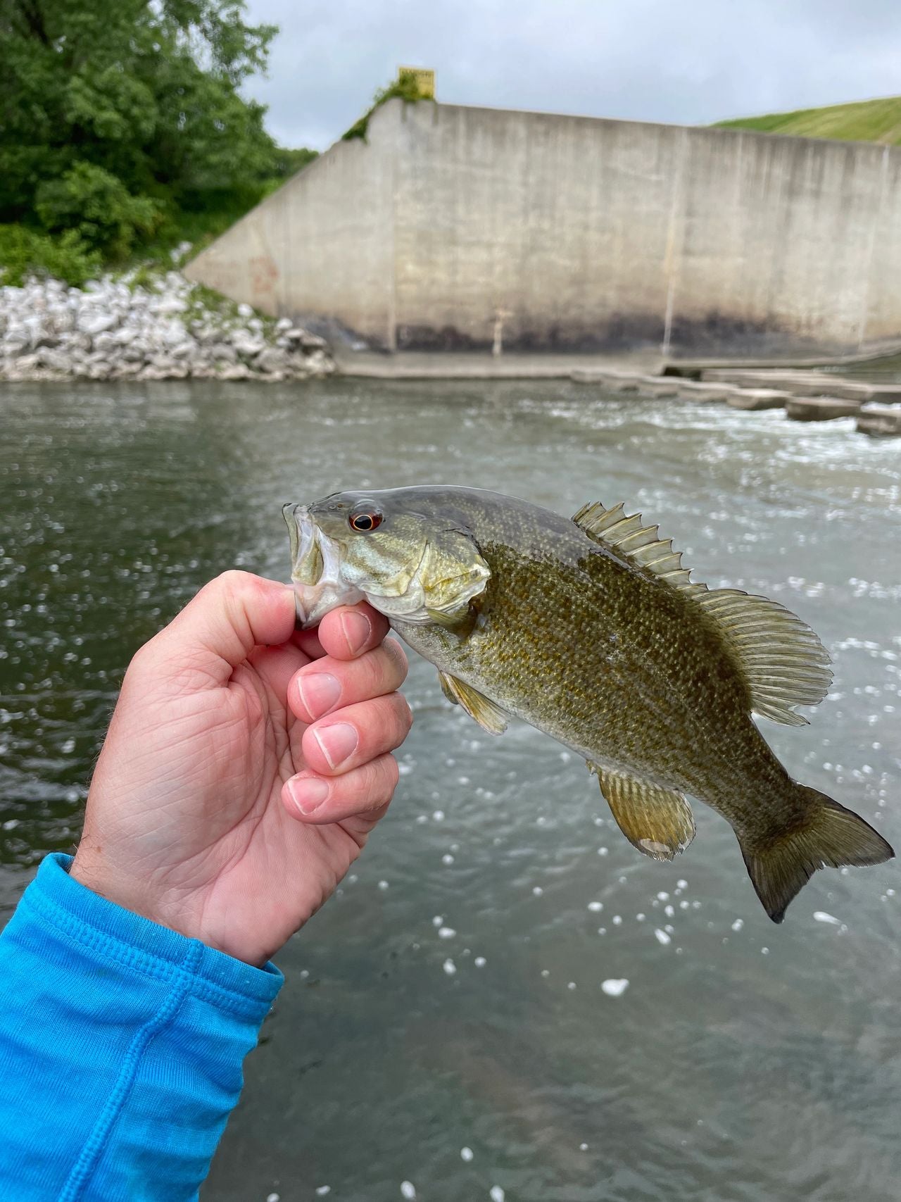 Spring Iowa Smallmouth Bass on the Fly