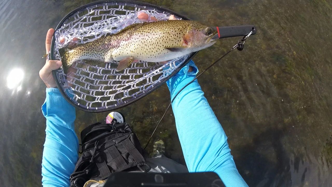 Lake Taneycomo March 2019 Fly Fishing for Trout