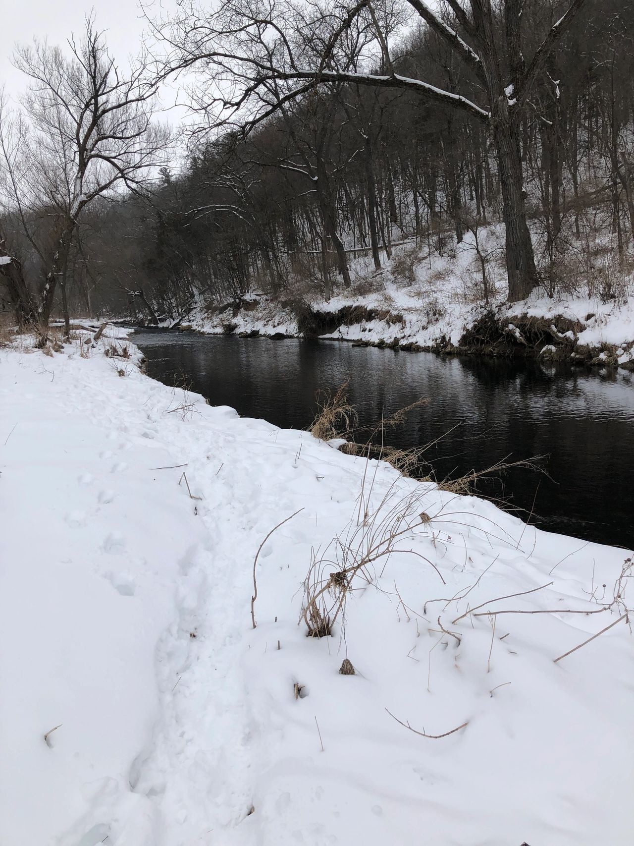 January Driftless on the Fly - North Bear Creek