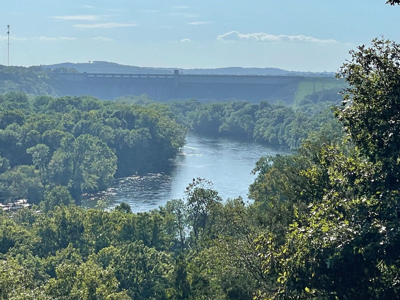 Beautiful Morning Fly Fishing Lake Taneycomo, Branson, MO