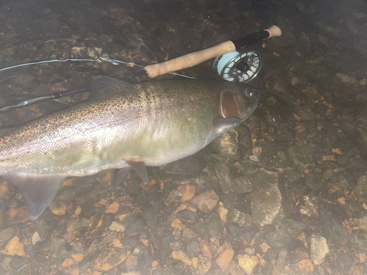 Lake Taneycomo Streamer Fishing at Night