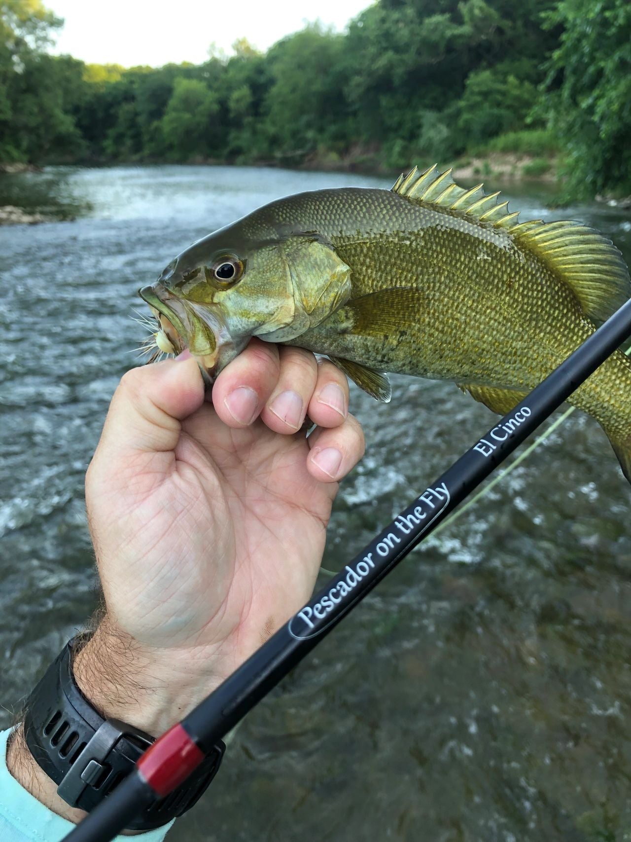 Central Iowa Smallmouth on the Fly