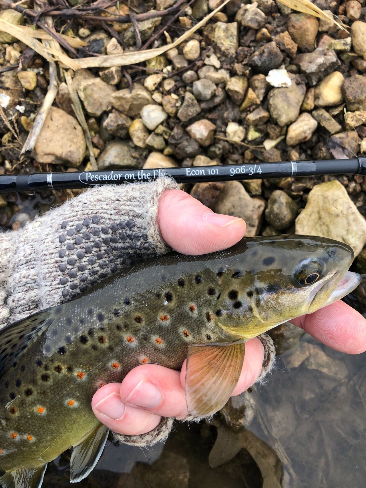 Introducing Econ 101 Series: Packable Starter Fly Fishing Combos
