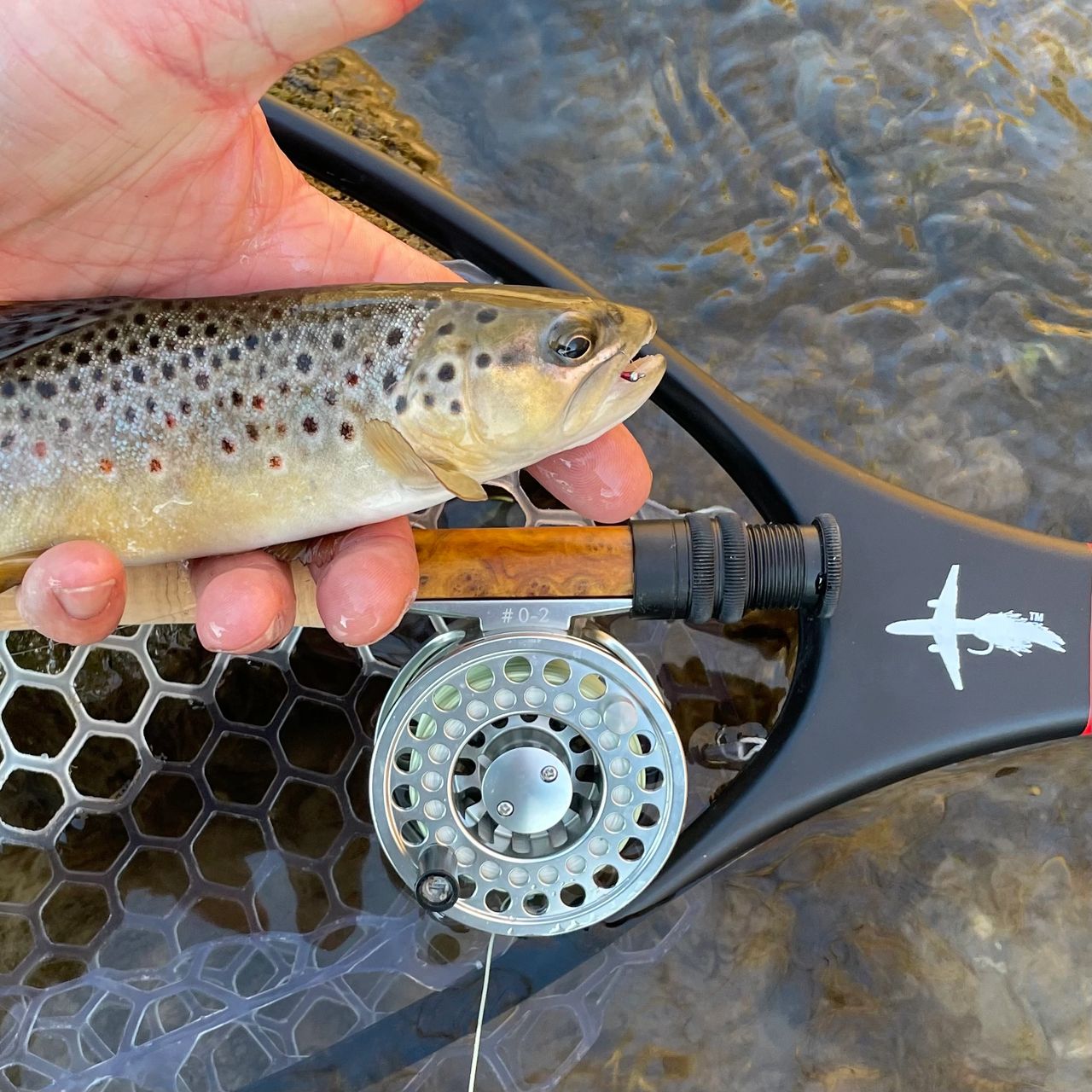 December Driftless Trout on the One Weight El Jefe Wild