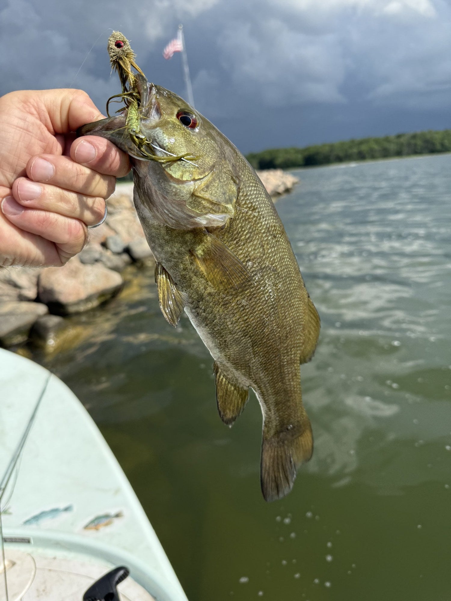 Angler holding a smallmouth bass caught on a streamer fly, lake in Iowa