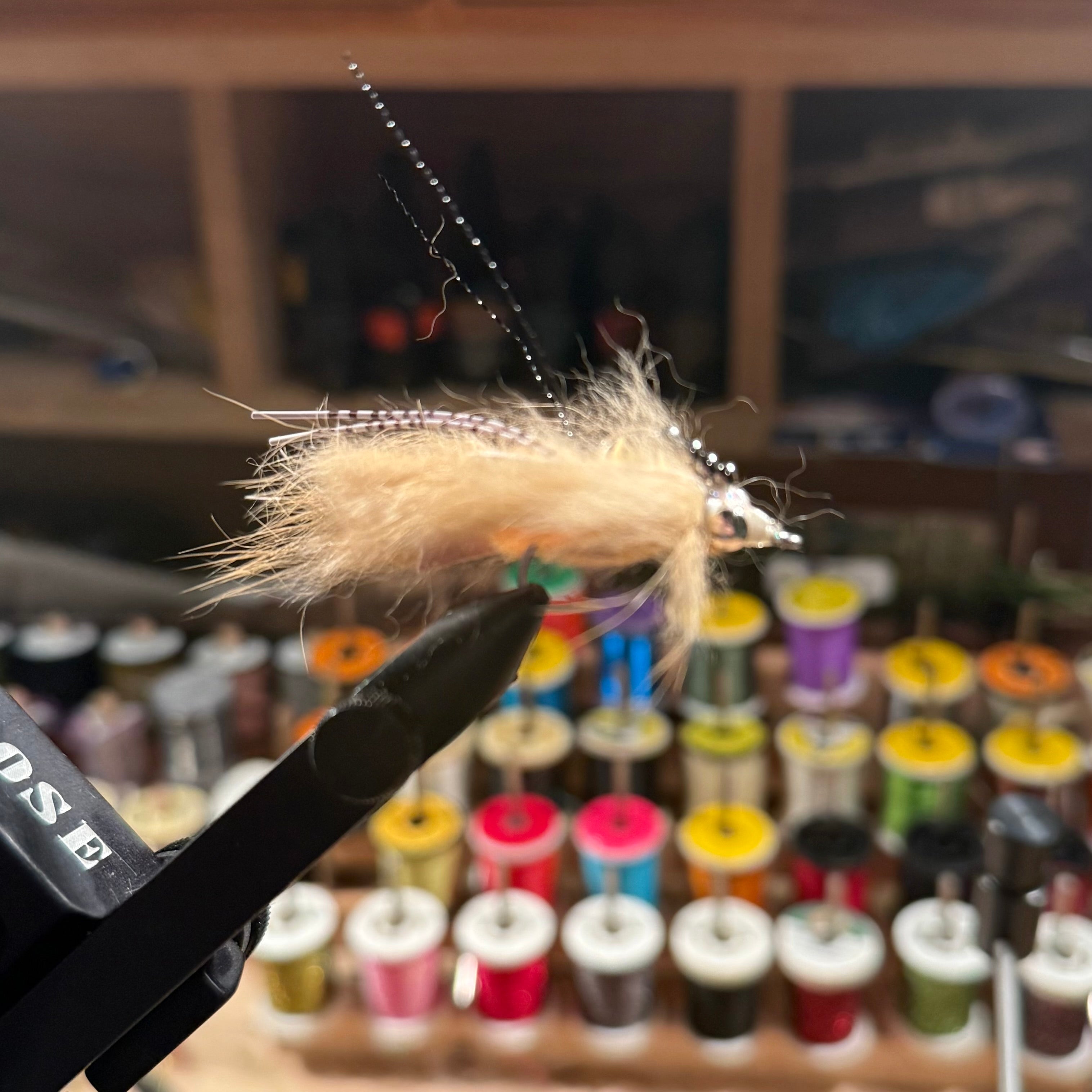 Avalon Permit Shrimp fly