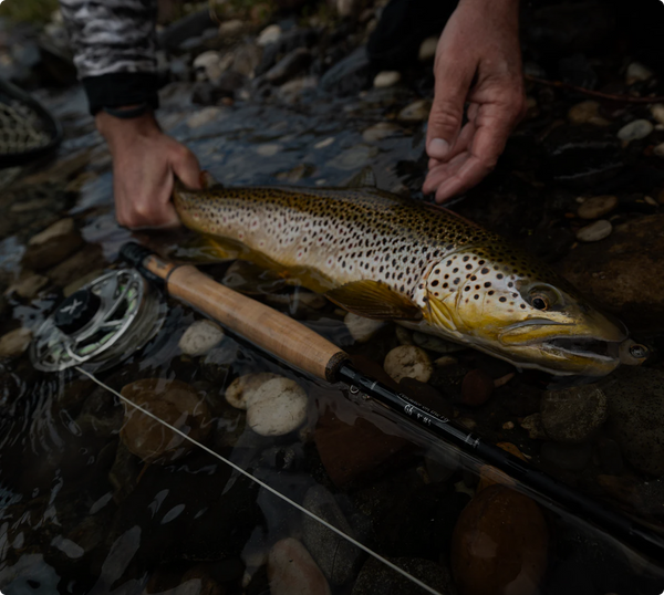 Premium Fly Rods | El Rey & El Jefe v2 – Pescador on the Fly