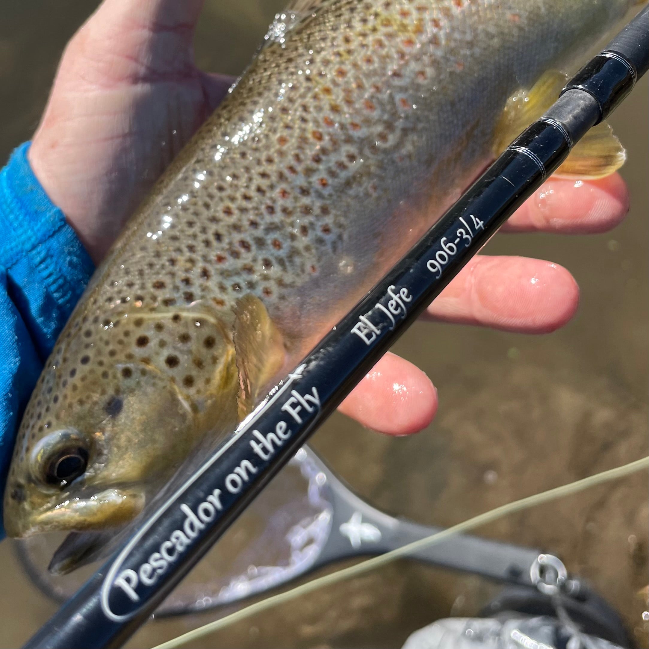 El Jefe Fly Fishing Combo Package | 804-3 | 8' Four Section 3 Weight Fly Rod And Reel Outfit