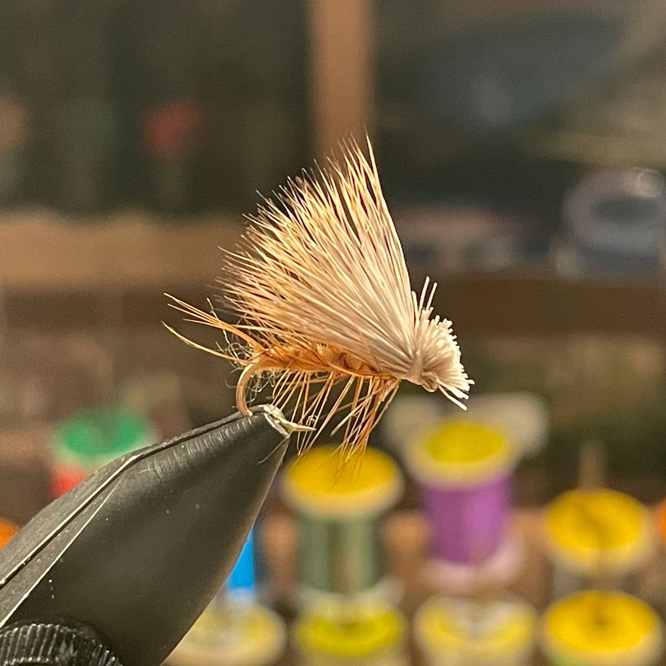 Elk Hair Caddis dry fly