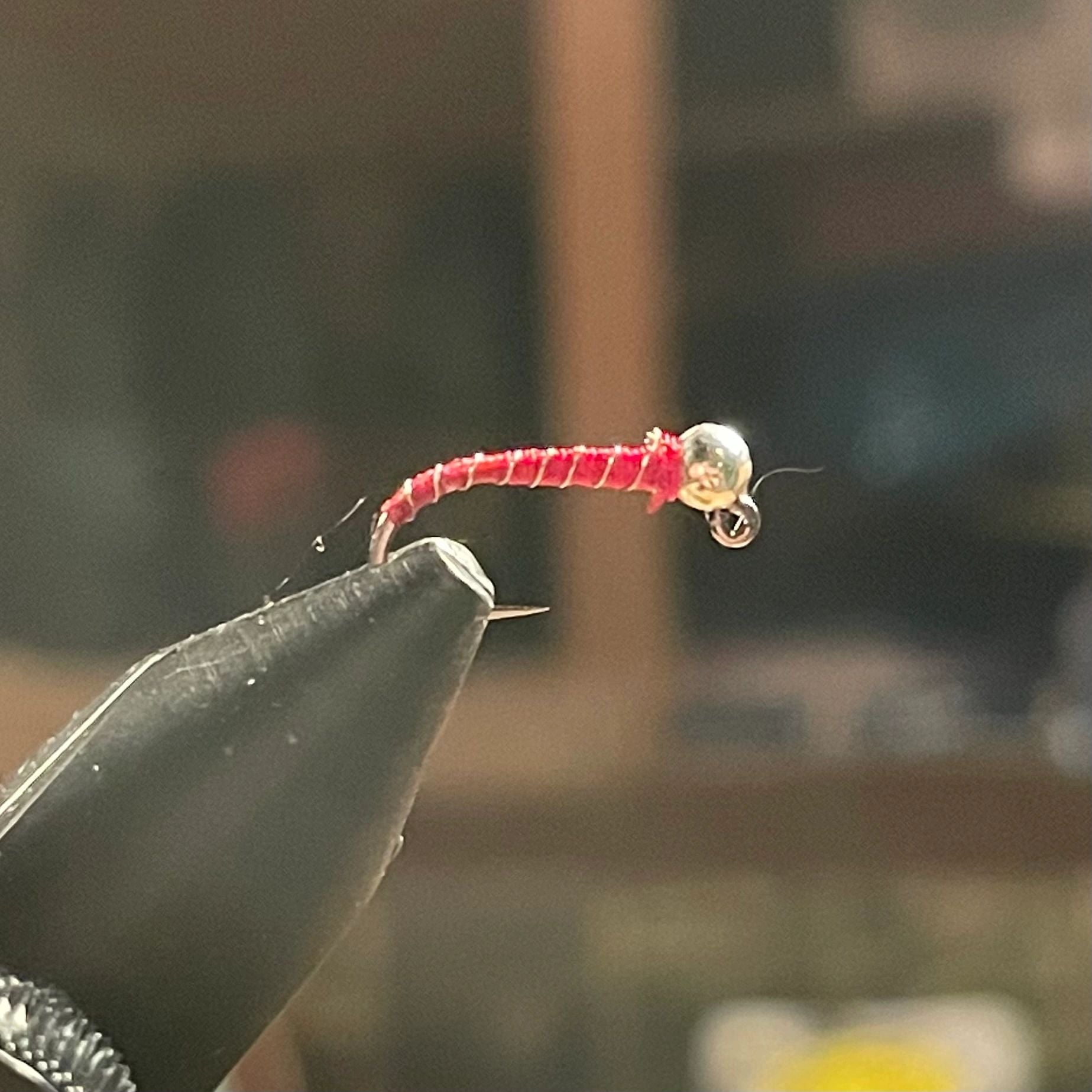 Red Zebra Midge