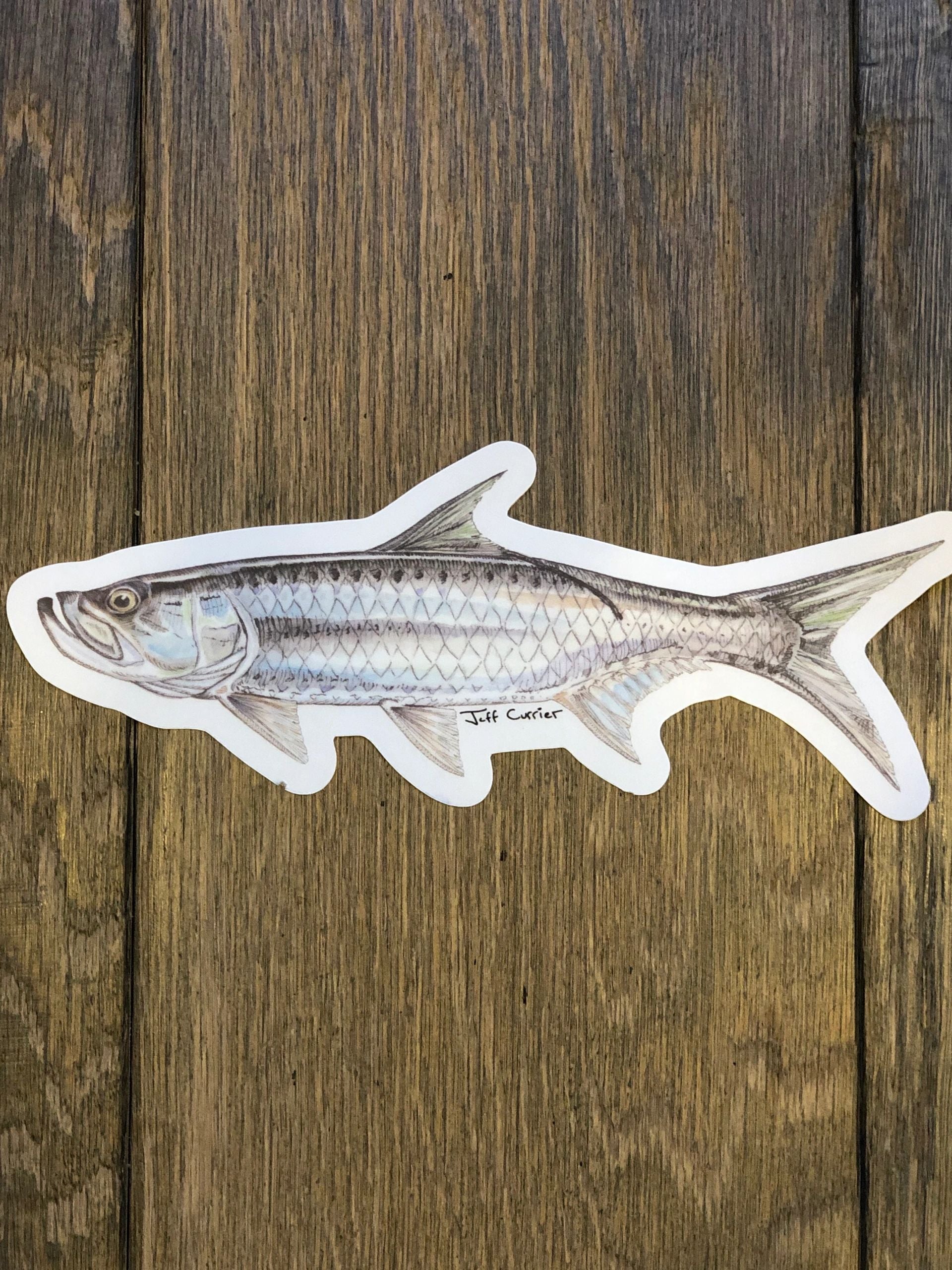 Fishing Hook Vinyl Decal 6 inches tall
